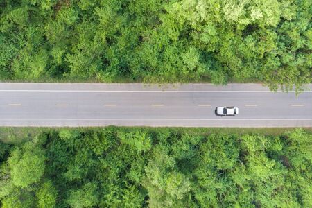 aerial view green forrestの写真素材