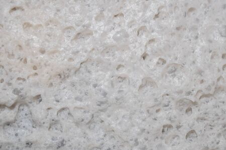 Dust Mite in Vacuum Cleaner Dust Water Containerの写真素材