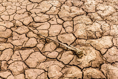 The cracked earth As a result of drought and heat の写真素材