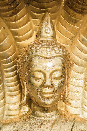Buddha meditating under the dragon の写真素材