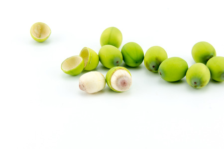 Lotus seeds on isolate white background.の写真素材