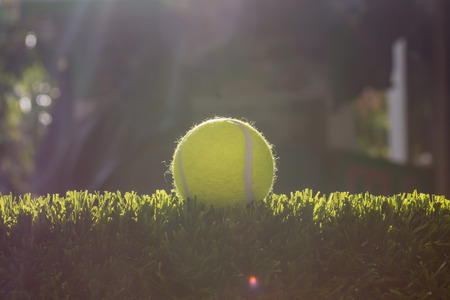 A Tennis on artificial turf under sunlightの写真素材