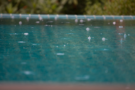 Rain drops on the surface of the pool.の写真素材