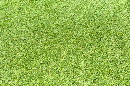 artificial turf background under sunshineの写真素材