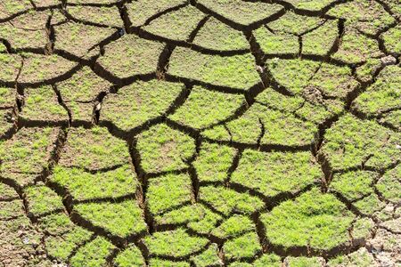 The background of the surface is cracked in dry soil in the summer.の写真素材