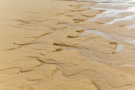 Sand of various shapes Beautiful on the beach