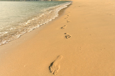 Footprints on the beach with sunny
Small sand molding of the wind crab on the natural beach sandの写真素材