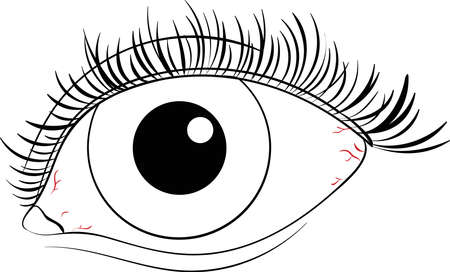 Black white vector eye.Isolated.のイラスト素材