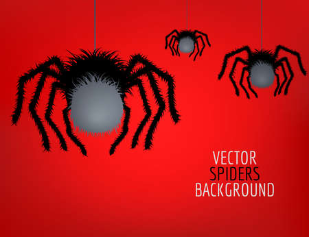 Vector spider. Black widow. Spider background.のイラスト素材