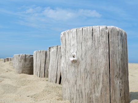 Wooden poles on the beachの写真素材