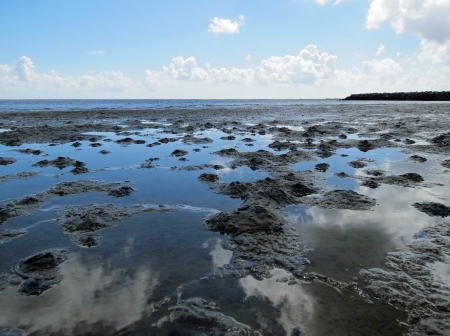 Low tide on the Waddenの写真素材