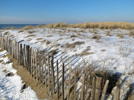 Snow on the dunesの写真素材
