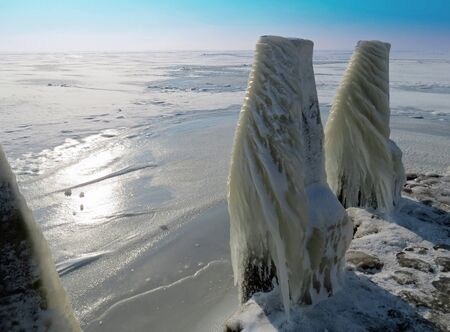 Dolphin wrapped in ice in the winter of 2012の写真素材