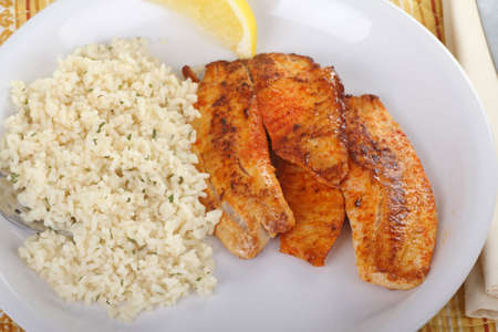 Fish fillet dinner with rice and lemon sliceの写真素材