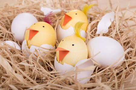 Easter eggs decorated as chicks hatching in a nest