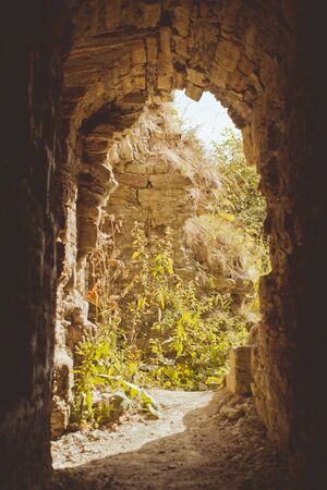 The ruins of the tower of Koporye fortressの写真素材