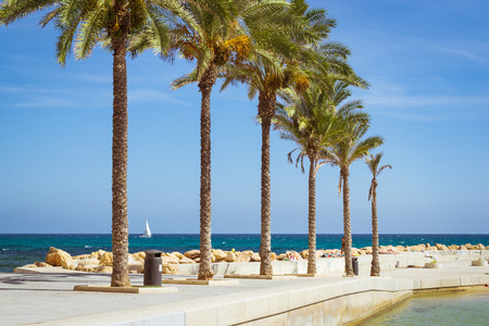 TORREVIEJA, SPAIN - SEPTEMBER 13, 2014: Sunny Mediterranean beach, promenade with palm trees, boat on the coast, Av de los Marineros, Torrevieja, Valencian Community, Spainの写真素材