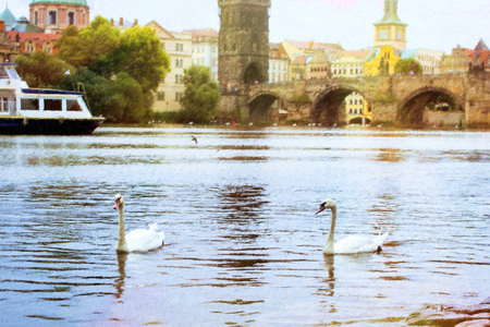 Swans on the Vltava river near the Charles bridge, old town, Prague, Czech Republic. Photo stylized illustrationの写真素材
