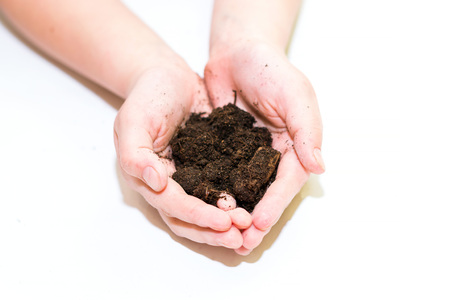 Handful of rich fertile soil in human hands isolated on white background. Land cultivation, ecology, preparation for sowing of crops and agriculture closeup. Selective focusの写真素材