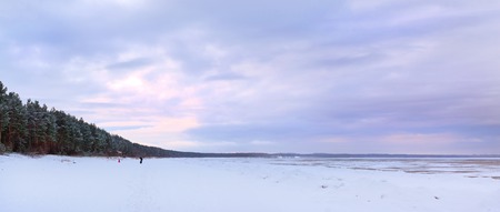 Winter day on snowy shore of Narva Bay. Snow on ice of frozen Finnish gulf. Narva-Joesuu resort town in Estonia in Ida-Virumaa. Severe Northern winter and snowy weather. Pine forest, pinewoodの写真素材