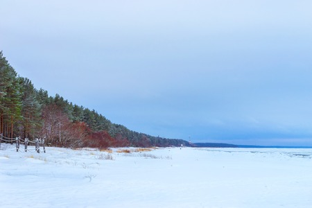 Winter day on snowy shore of Narva Bay. Snow on ice of frozen Finnish gulf. Narva-Joesuu resort town in Estonia in Ida-Virumaa. Severe Northern winter and snowy weather. Pine forest, pinewoodの写真素材
