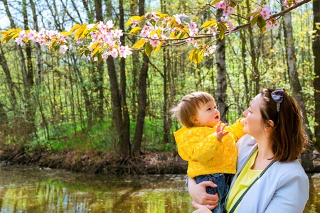 Young woman with a child in her arms happy Sakura blossom in spring Park. Joy of motherhood and child development. Cherry blossom tree in late spring. Flora of North-West of Russia, Saint-Petersburgの写真素材