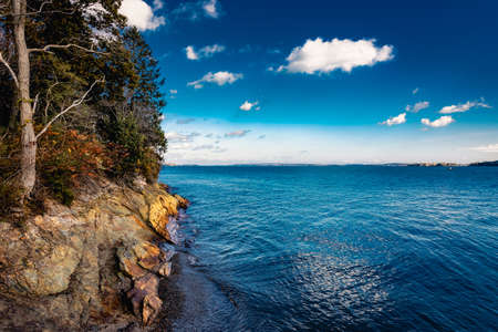 a body of water with a rock face and a tree.の写真素材
