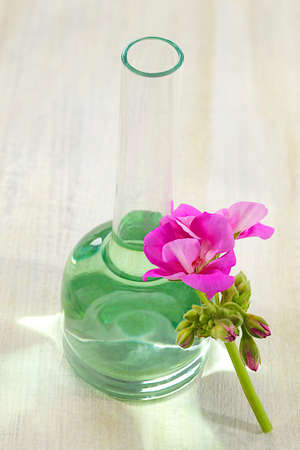 geranium essential oilの写真素材