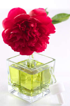 peony flower and perfume bottle of essential oilの写真素材