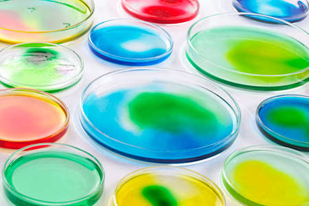 Biology - Boxes petriの写真素材