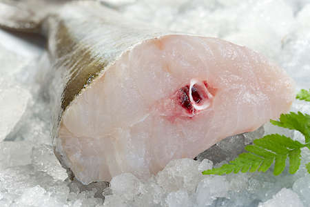 Raw cod fish fillets in kitchen on crush iceの写真素材