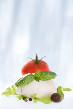Mozarella cheese with tomatoes  nd basilの写真素材