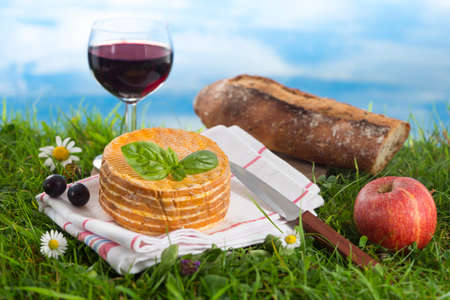 glass of wine, cheese and bread, laid in the grass, picnic stage.の写真素材