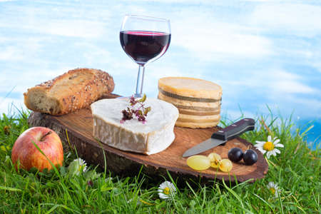glass of wine, cheese and bread, laid in the grass, picnic internship.