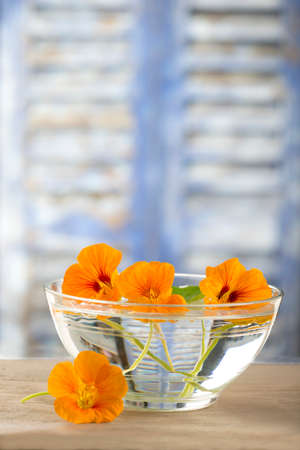 alternative medicine - herbal therapy, herbal teaの写真素材