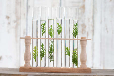 solution of medicinal plants and flowers - Decorative Objects-Herbal Medicineの写真素材