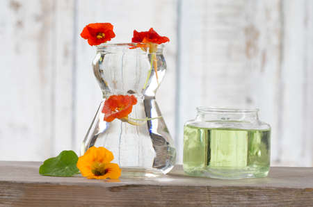 plant samples for analysis in scientific or cosmetic laboratory - essential oil extractionの写真素材