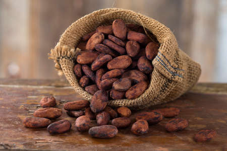 cacao bean in hessian bagの写真素材