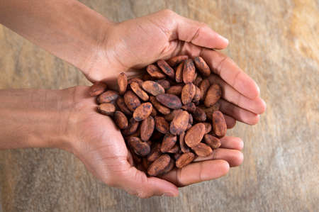 view of handful of cacao beansの写真素材