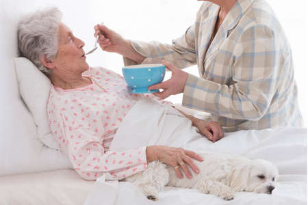 elderlycare  feeding an elderly woman atretirement house, or homeの写真素材