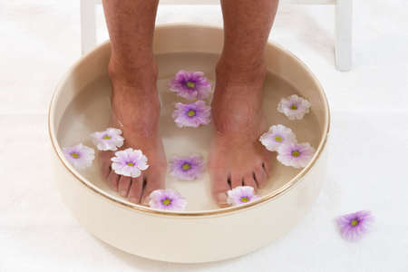 Beautiful pedicured feet  with colorful spring daisies in a spaの写真素材