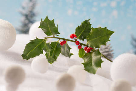Holly Xmas card concept on snow backgroundの写真素材