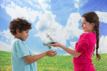 two kids  holding young green plant in hand saving hearthの写真素材