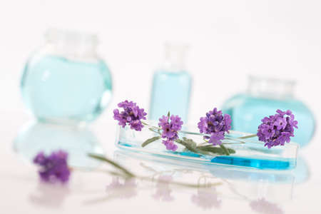 lavender botle of oil and lotion natural medicineの写真素材