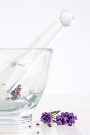 Herbal medicine concept  lavender flowers in glass mortarの写真素材