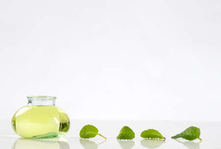 Herbal medicine  glass bottle with mint   oilの写真素材