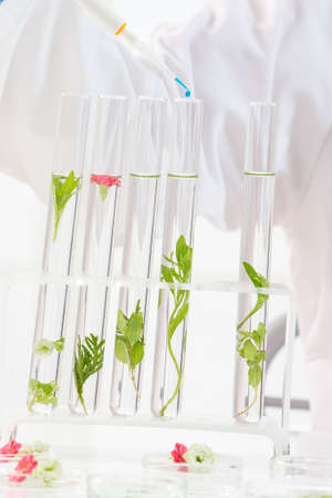 Experimental plant biology and workers in protective wearの写真素材