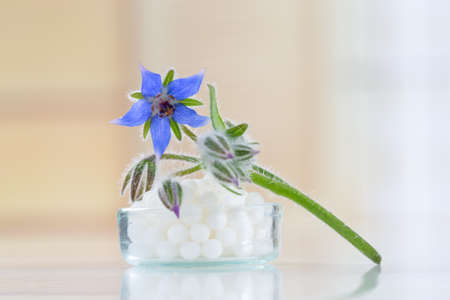 Borage Bottles of homeopathy globules