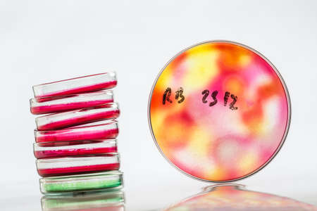 Laboratory research biochemistry and science