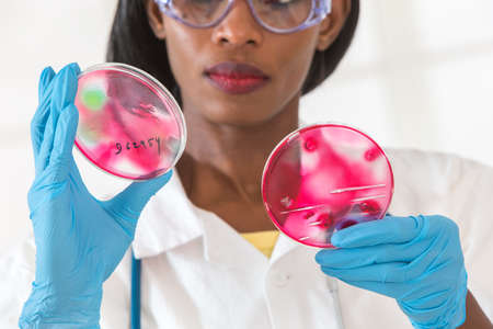 woman laboratory assistant working on  petri dish